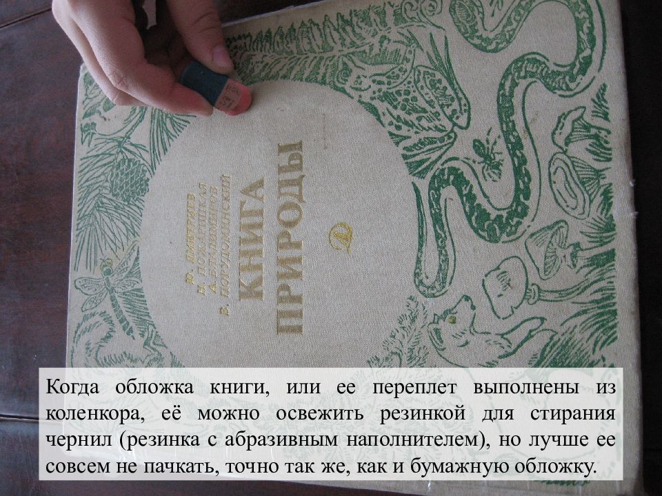 Твоя книга