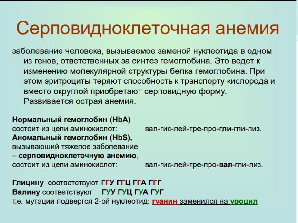 Виды изменчивости и виды мутаций у человека факторы мутагенеза презентация