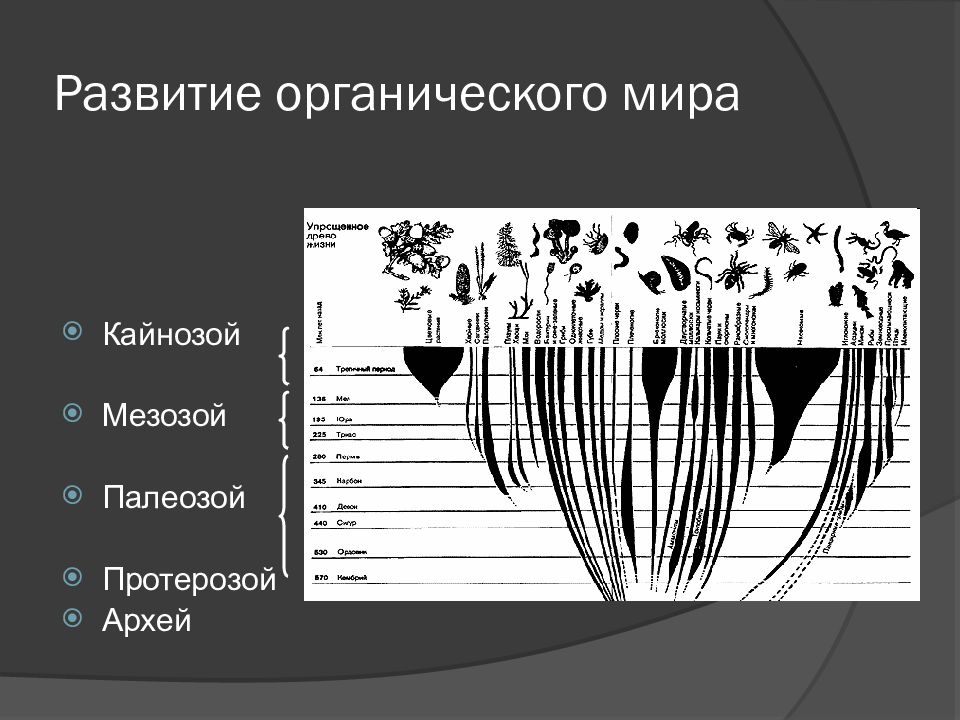 Биологическая картина мира это