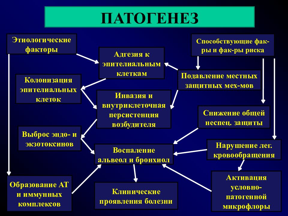 Пневмония факультетская терапия презентация