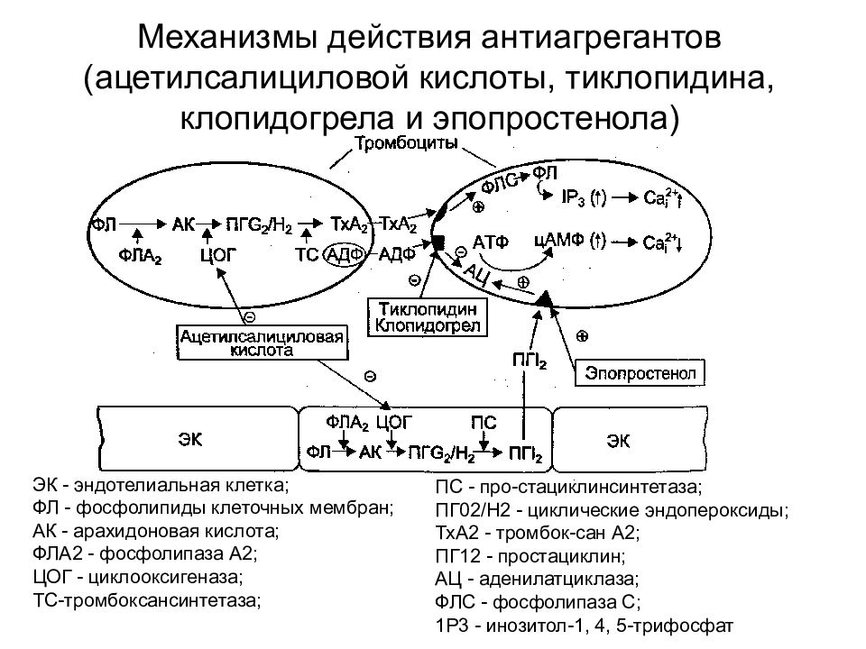 Эффекты ацетилсалициловой кислоты