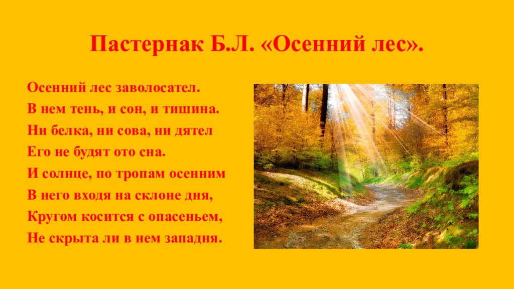 Эпитеты в стихотворении золотая осень 4 класс. Осенний лес заволосател. Стихотворение про осень Пастернак. Осенний лес Пастернак. Б Пастернак Золотая осень.