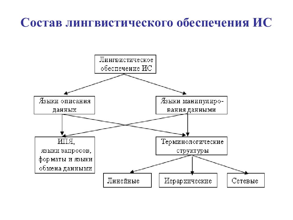 Языковый состав. Лингвистическое обеспечение ИС. Лингвистическое программное обеспечение. Лингвистическое обеспечение пример. Лингвистическое обеспечение ИС пример.