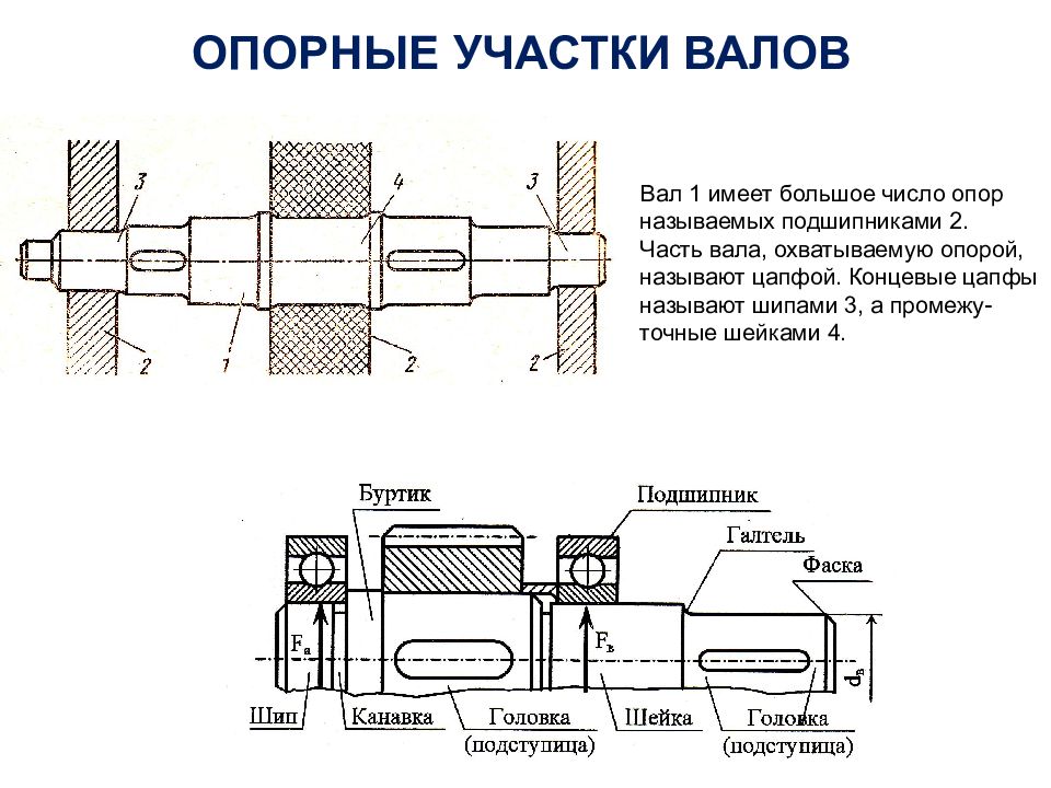 Шейка на чертеже