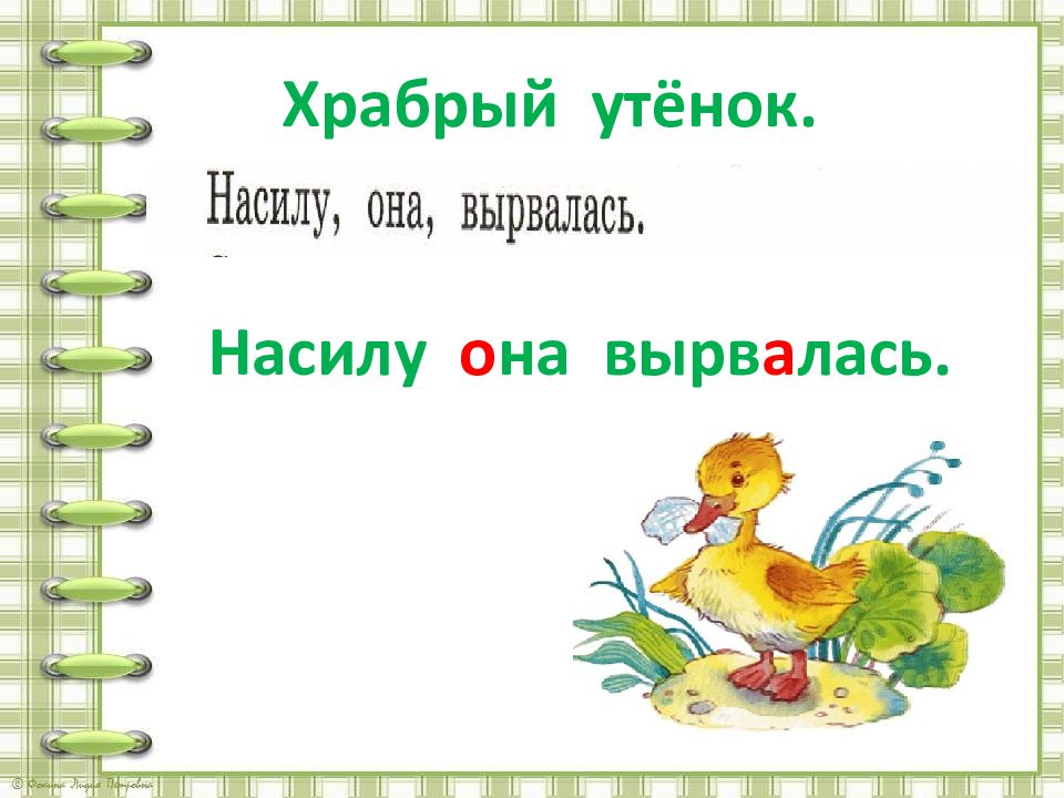 Храбрый утенок 2 класс презентация. Храбрый утенок русский язык 2 класс. Храбрый утенок текст. Храбрый утенок презентация 2 класс школа России. Кто написал Храбрый утенок Автор.