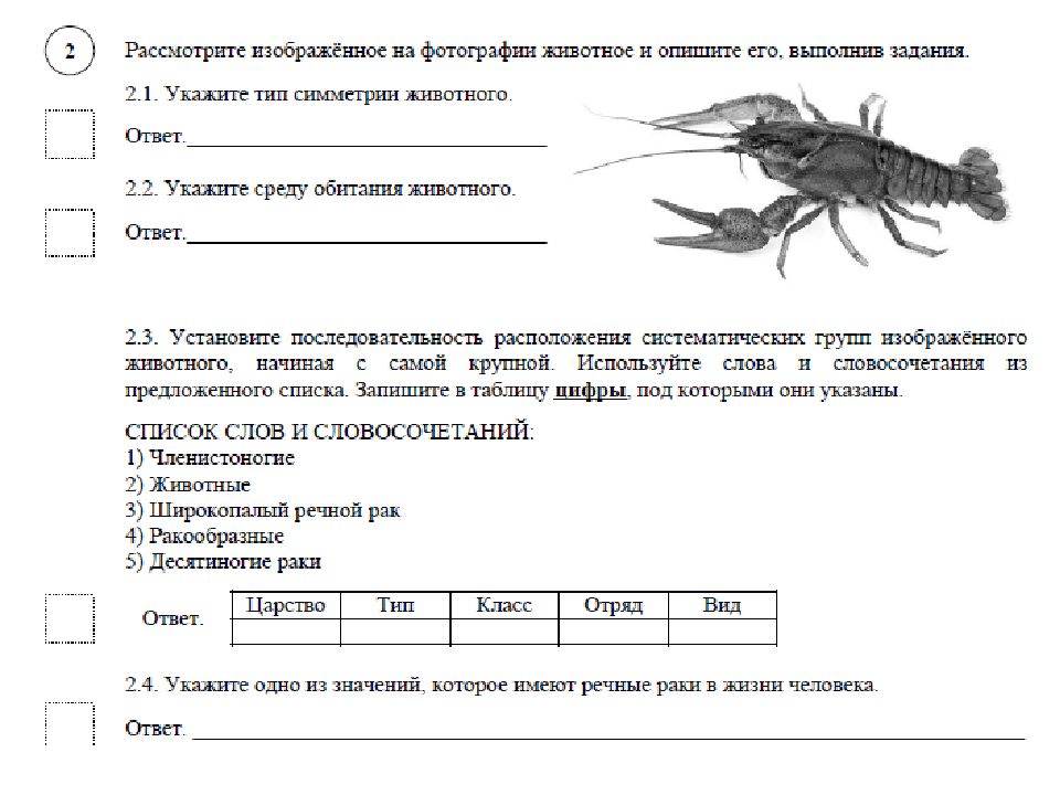 Рассмотрите изображенное на фотографии животное