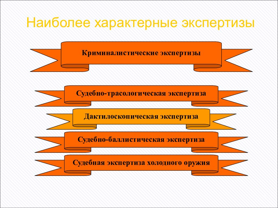 Методика расследования грабежей и разбоев презентация