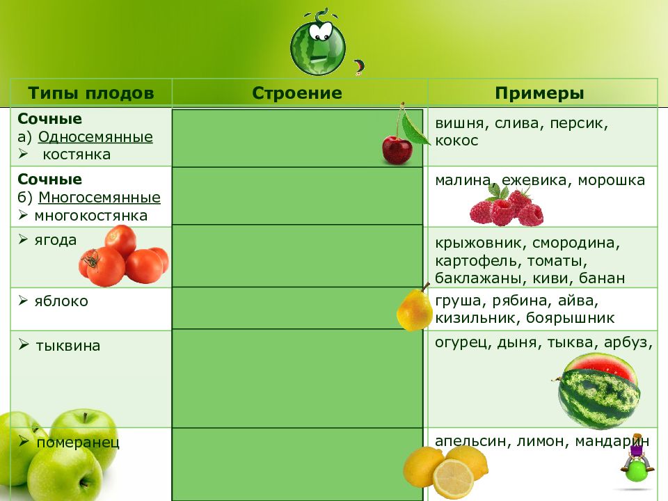 Малина многосемянная. Типы сочных плодов. Груша сочный или сухой плод. Сочные односемянные ягоды. Груша односемянный или многосемянный плод.