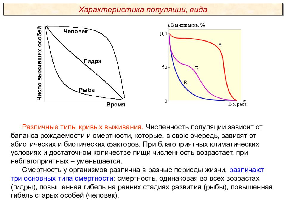 Виды кривых. Типы кривых. Виды кривых на графиках. Тип Кривой. Виды Кривой.