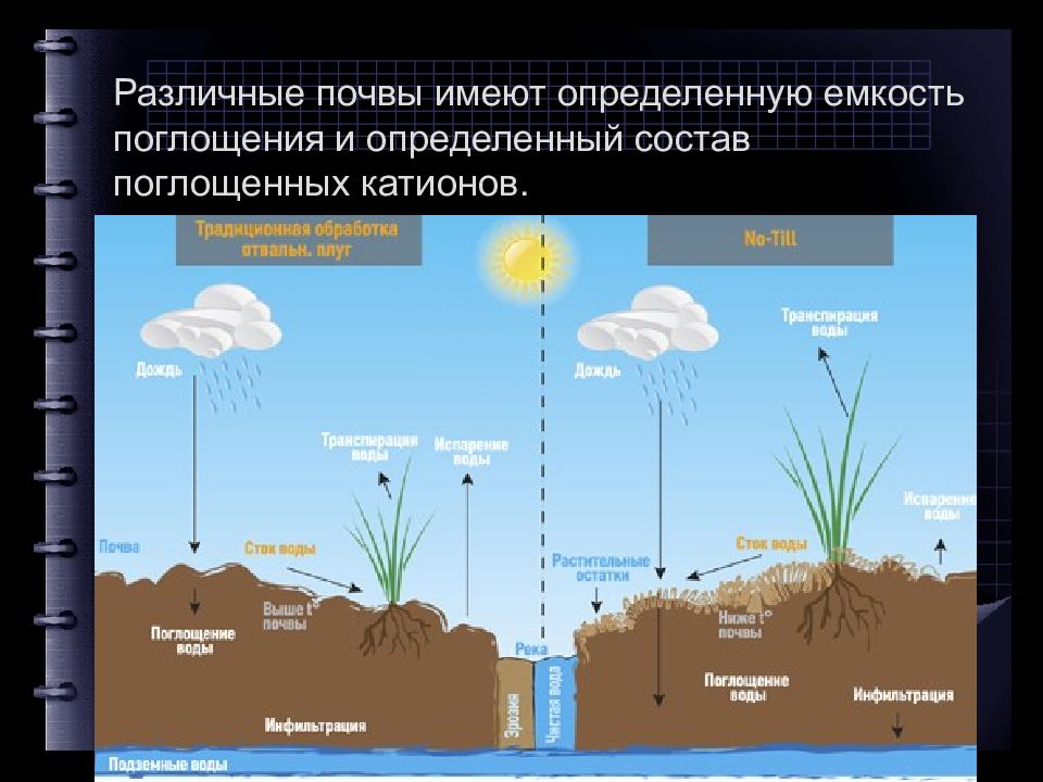 Поглотительная способность почвы презентация