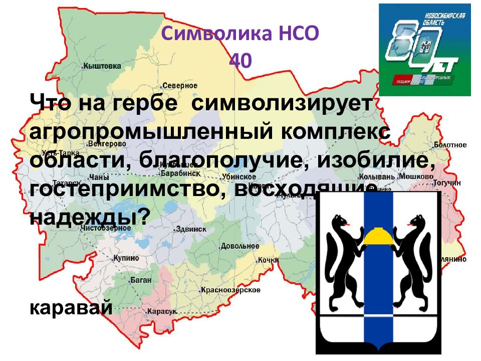 Нсо что это такое. НСО Новосибирская область.