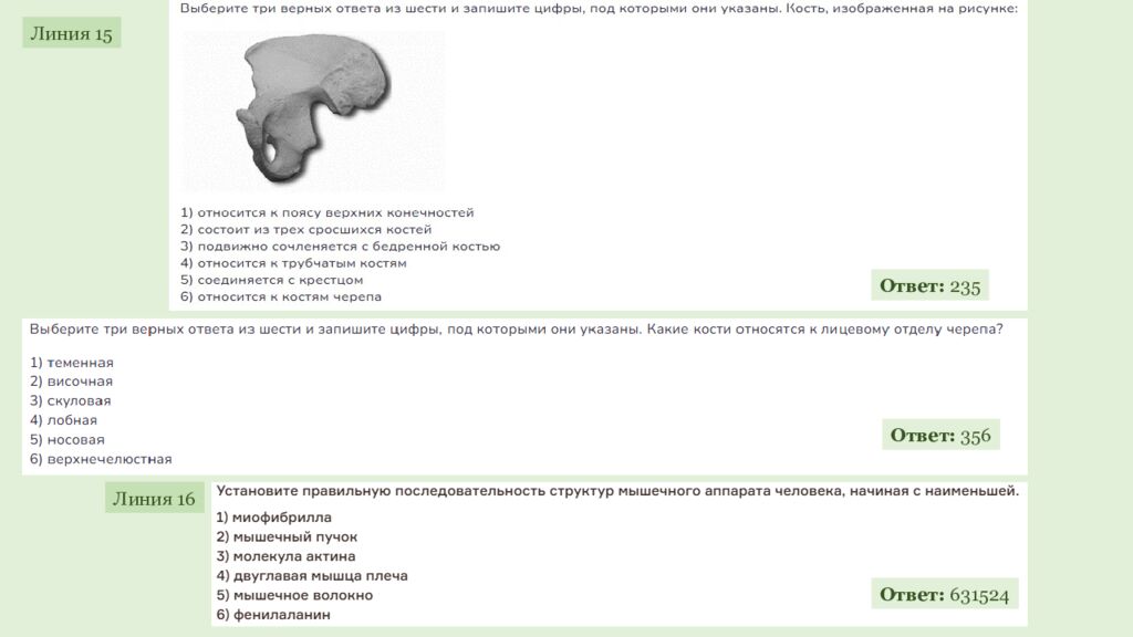 ЕГЭ 2027 ОДС ОТРАБОТКА