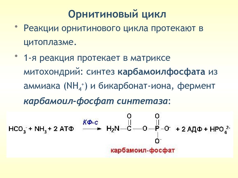 Орнитиновый цикл реакции. Синтез карбамоилфосфата. Реакция образования карбамоилфосфата. Первая реакция орнитинового цикла.