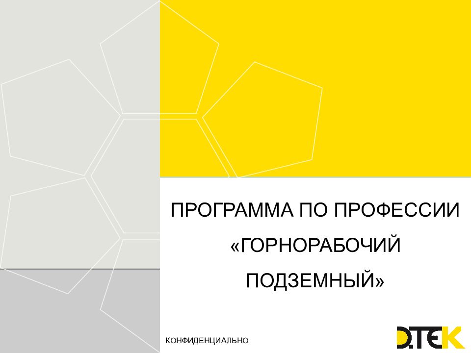 ПРОГРАММА ПО ПРОФЕССИИ «ГОРНОРАБОЧИЙ ПОДЗЕМНЫЙ»