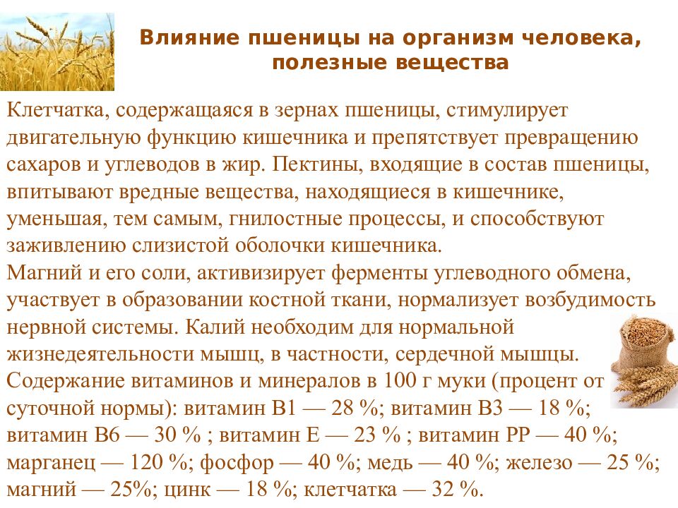 Влияние пшеницы на организм человека, полезные вещества