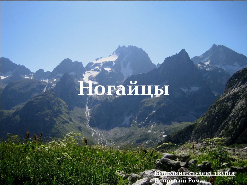 Ногайцы Выполнил: студент 3 курса Попрыгин Роман