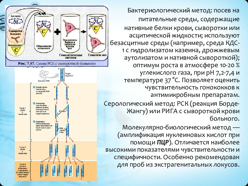 Кдс микробиология. Гонококки бактериологический метод. Бактериологический метод гонококков. Бактериологический метод гонорея. Бактериологический метод исследования гонореи