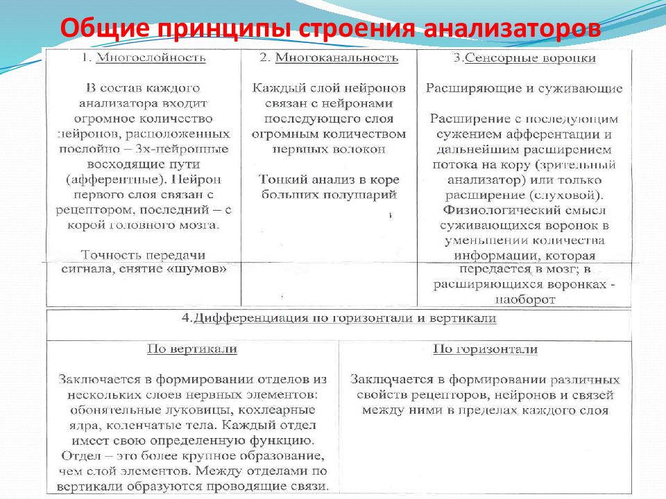 Графически изобразите общую схему устройства анализаторов