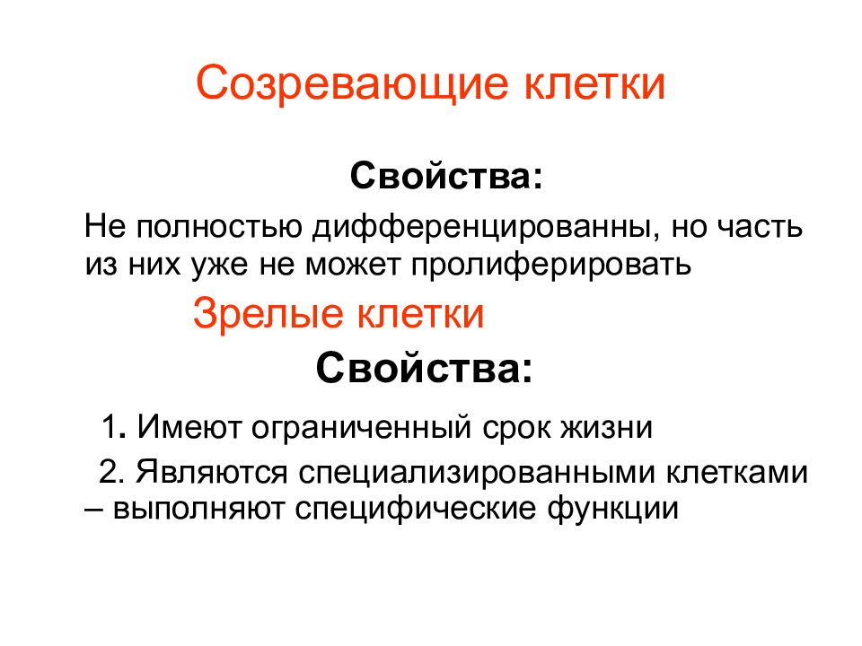 Свойства клетки. Созревающие клетки. Созревающие клетки крови это. Патофизиология системы крови. Патофизиология системы крови презентация.