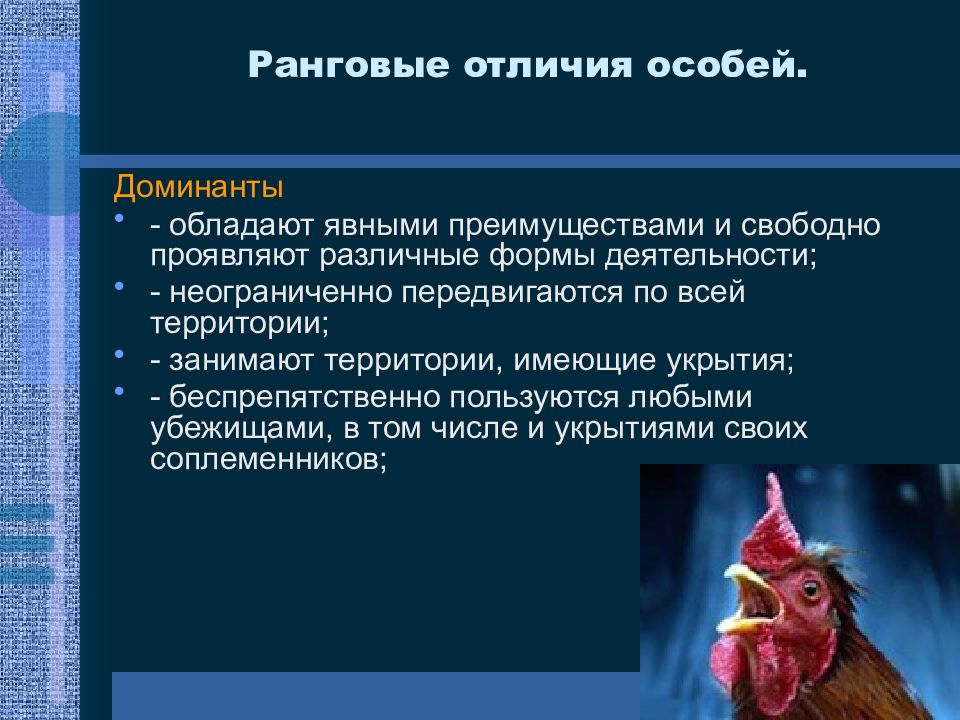 Особо отличившихся. Функциональная интеграция популяции. Физиологические основы ранговых отличий особей. Ранговые отличия особей внутри популяции. Физические основы ранговых отличий особей.