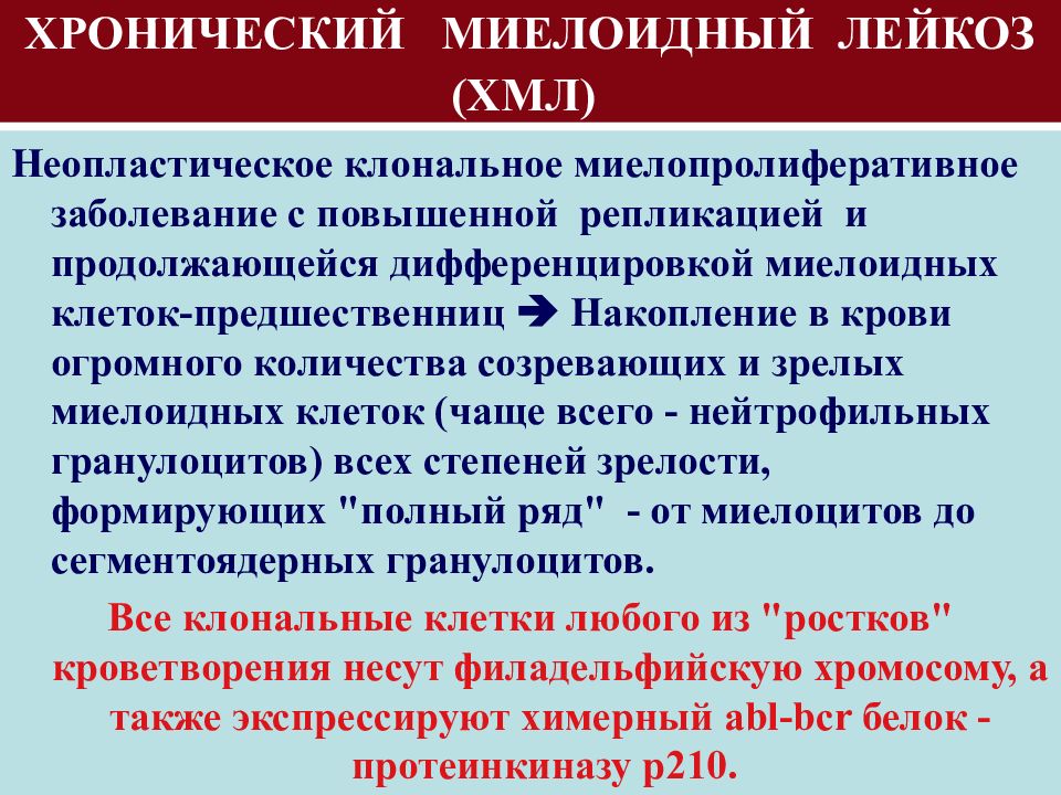 Наиболее часто в клинической картине при взрослом типе хронического миелолейкоза встречается