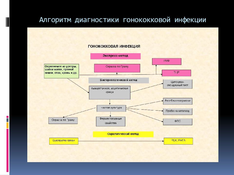 Алгоритм заражения. Схема лабораторной диагностики вич инфекции микробиология. Алгоритм заражения. Алгоритм менингококковой инфекции. Метод ислледовпния на вис.