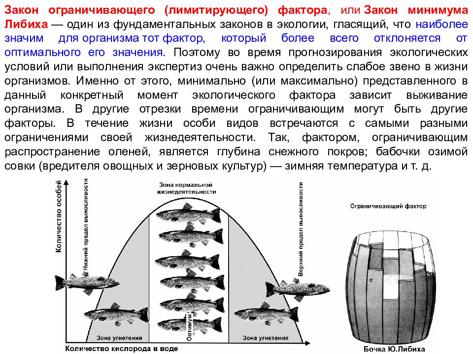 Закон ограничивающего фактора презентация