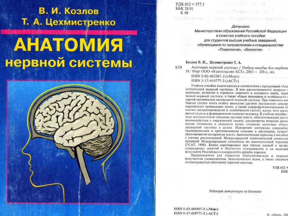 Презентация по нервной системе анатомия