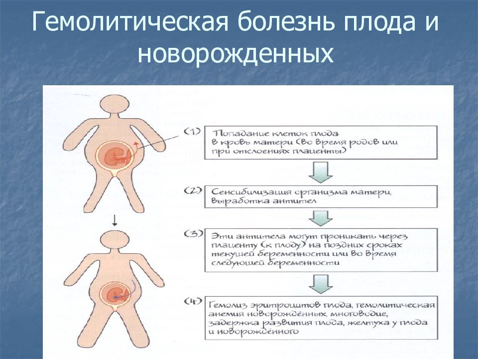 Гемолитическая болезнь новорожденных. Триада клинических симптомов гемолитической болезни новорожденных. Гемолитическая болезнь новорожденного клинические рекомендации. Гемолитическая болезнь плода клинические рекомендации. При гемолитической болезни наиболее рационально:.