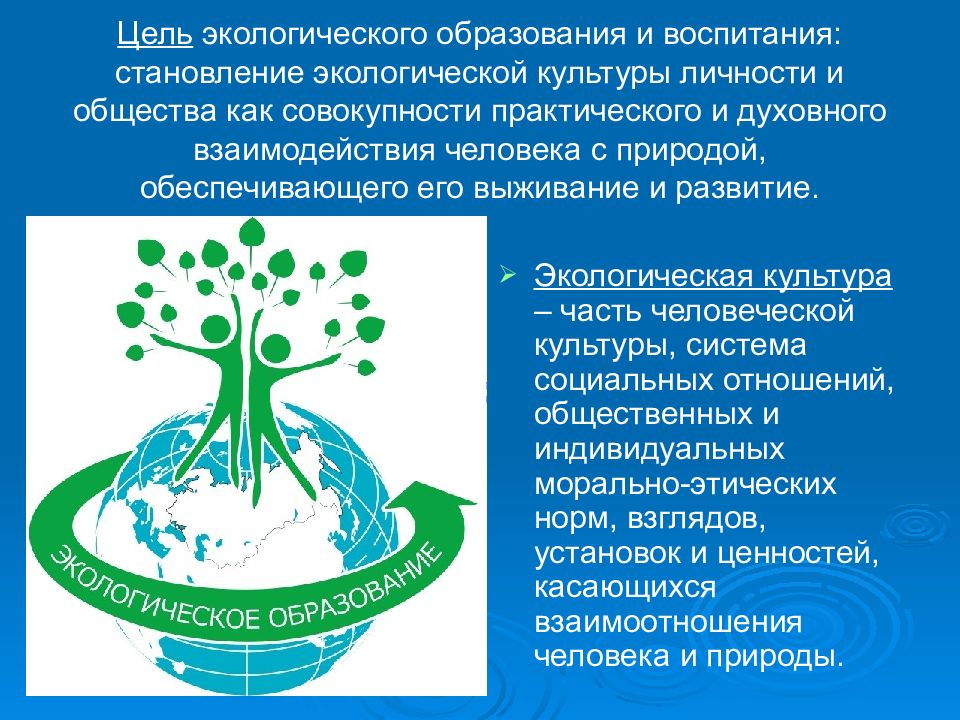 Роль экологии в формировании современной картины мира и в практической деятельности людей