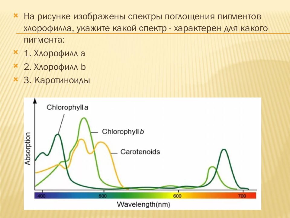 На рисунке показаны спектры поглощения трех смесей