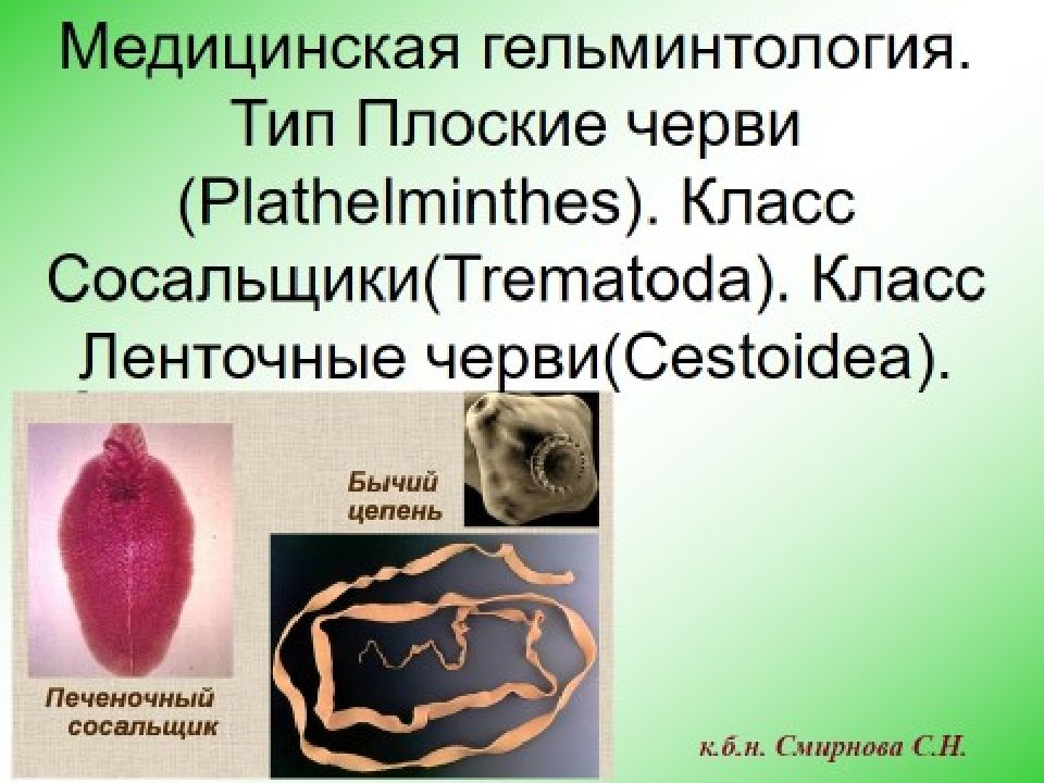 Плоские черви для опроса