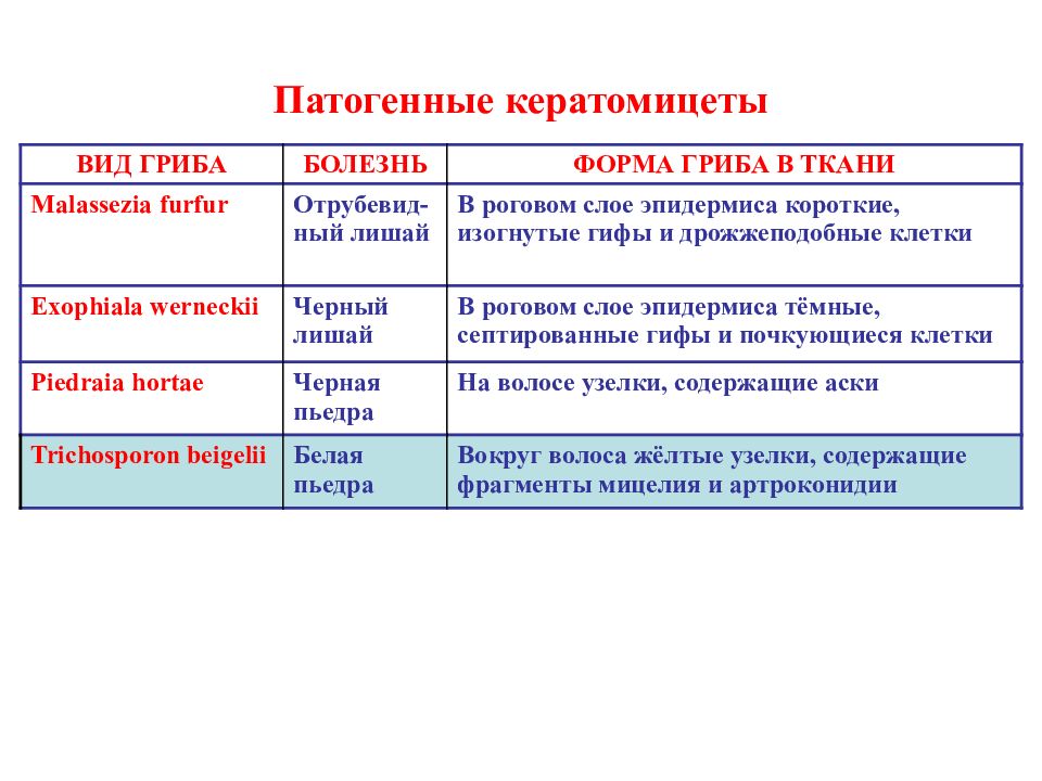 Патогенные грибы. Факторы патогенности грибов. Кератомицеты. Что такое патогенные факторы грибов. Патогенные грибы на латыни.