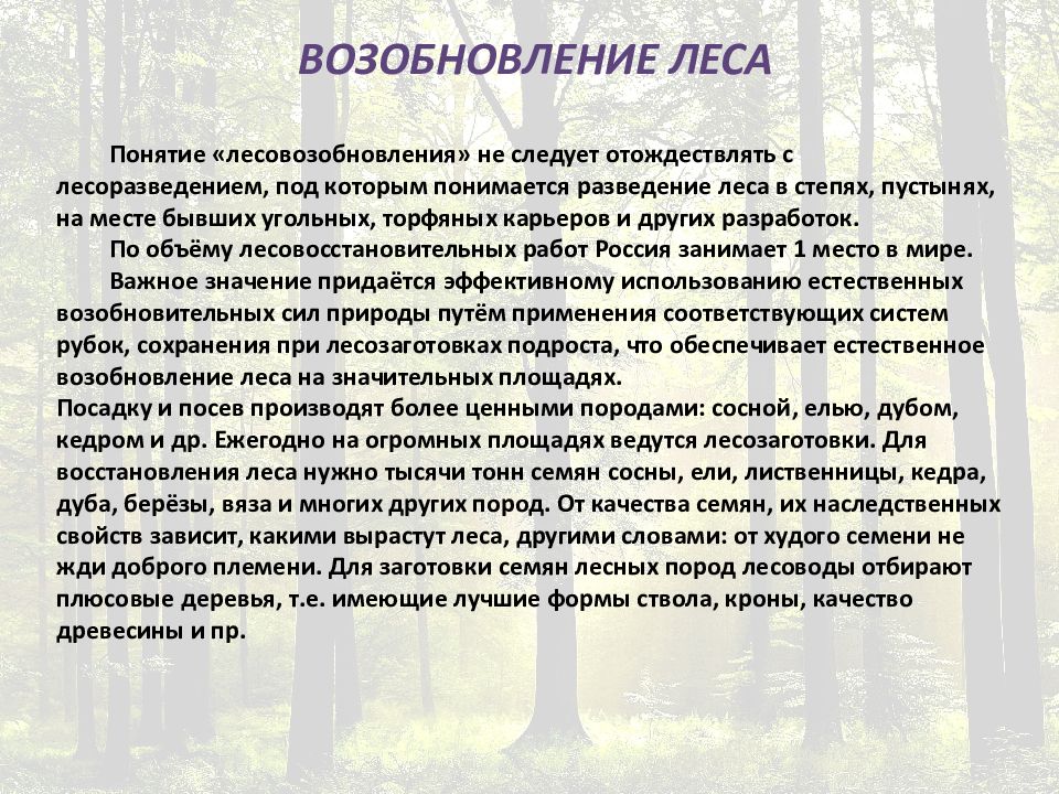 Возобновление леса презентация