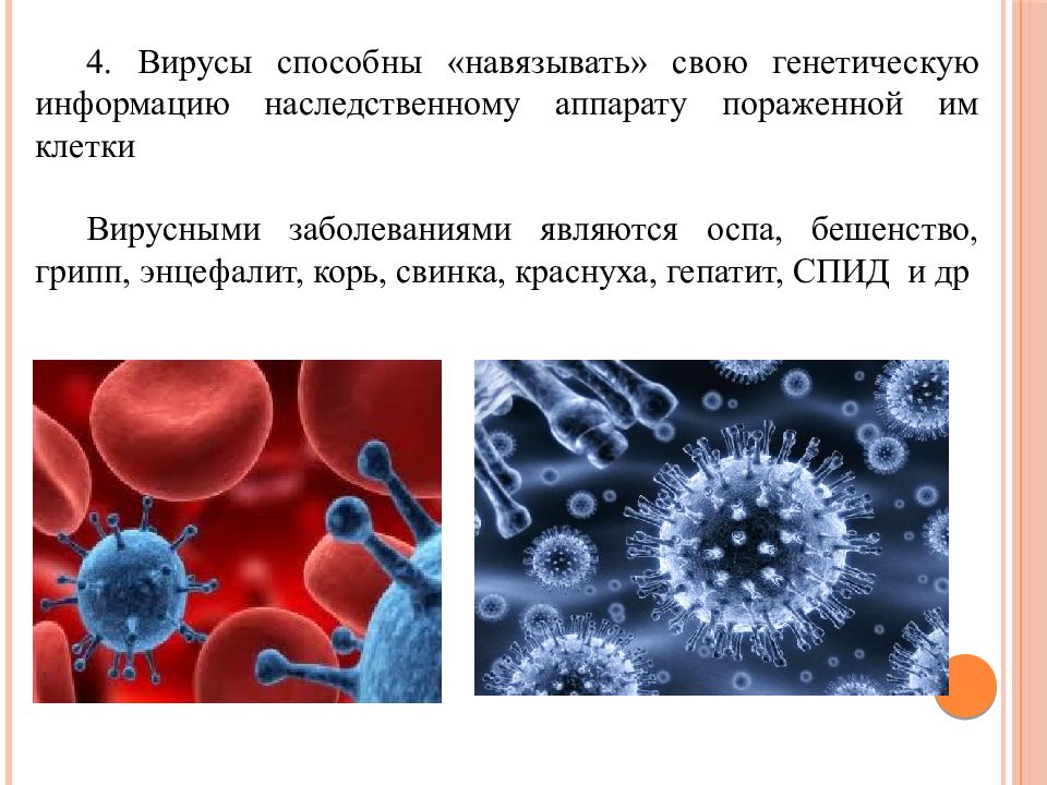 Вирусы относятся к форме жизни. Информация о вирусах. Факторы вирусов. На что способны вирусы.