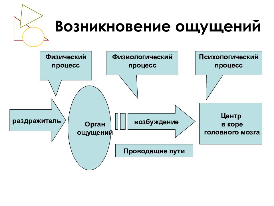 Процесс возникновения чувств. Физиологические процессы в психологии. Теории возникновения ощущения. Хемы «классификация ощущений», (Айсмонтас. Классификация ощущения скот.