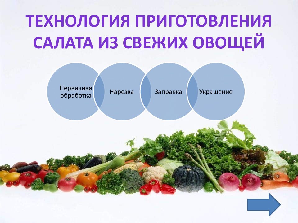 Технология приготовления салатов из овощей. Технология приготовления салата из свежих овощей. Технология приготовления салата из сырых овощей. Ассортимент салатов из свежих овощей.