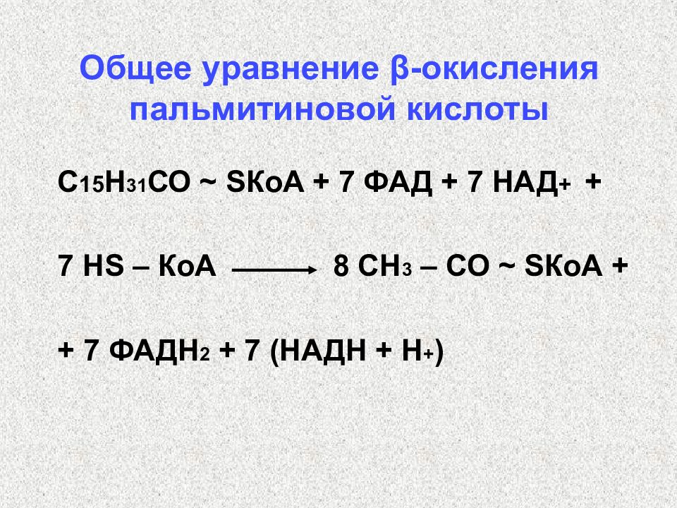 Уравнение окисления. Суммарное уравнение бета окисления. Суммарное уравнение биосинтеза пальмитиновой кислоты. Суммарное уравнение окисления пальмитиновой кислоты. Окисление пальмитиновой кислоты.