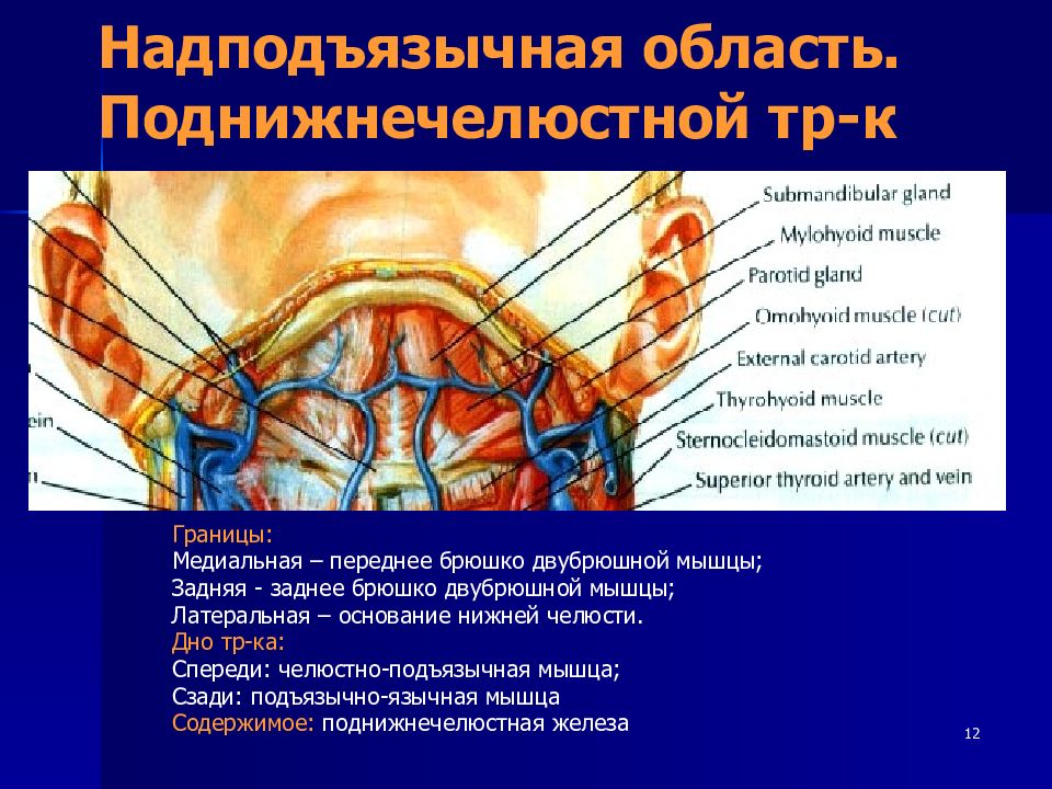 Абсцесс и флегмона поднижнечелюстной области презентация