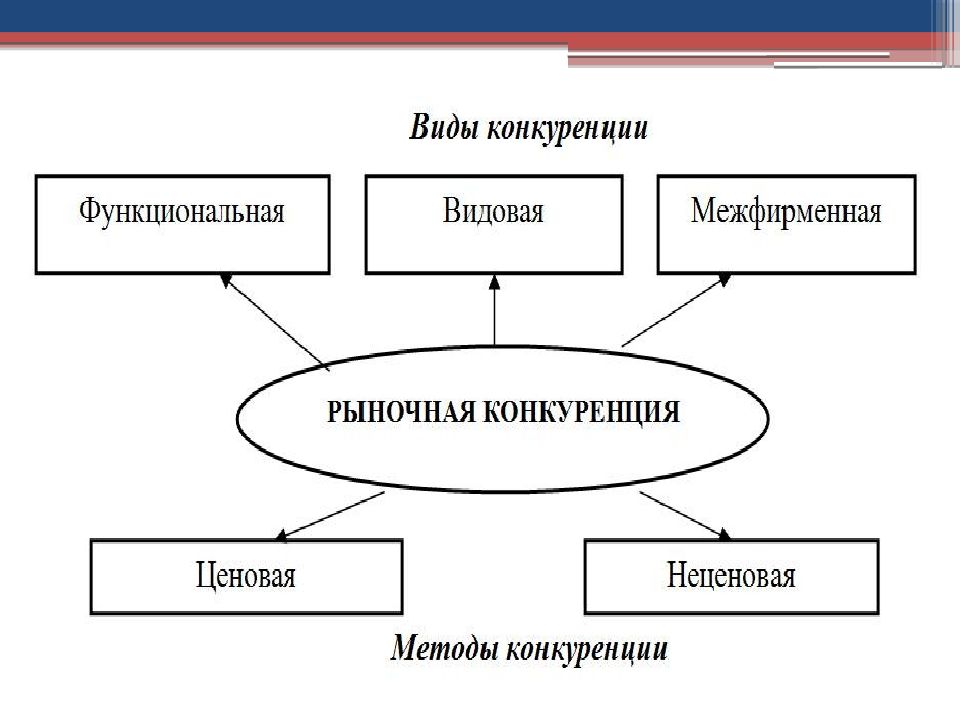 Виды конкурентных видов