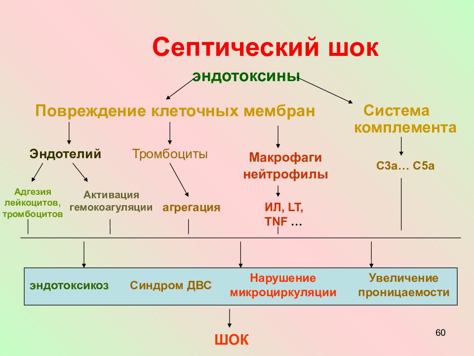 Сепсис и септический шок. Септический ШОК презентация. Механизм гемокоагуляции. Токсин септический ШОК.