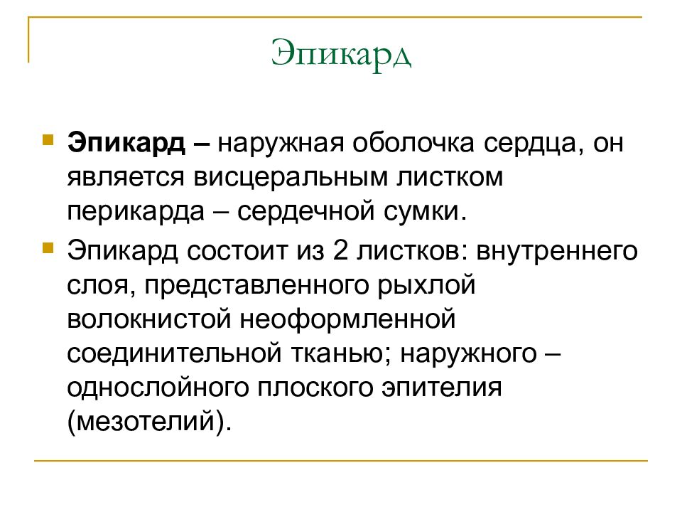 Эпикард это. Эпикард. Эпикард функции. Строение и функции эпикарда. Функции эпикарда сердца.