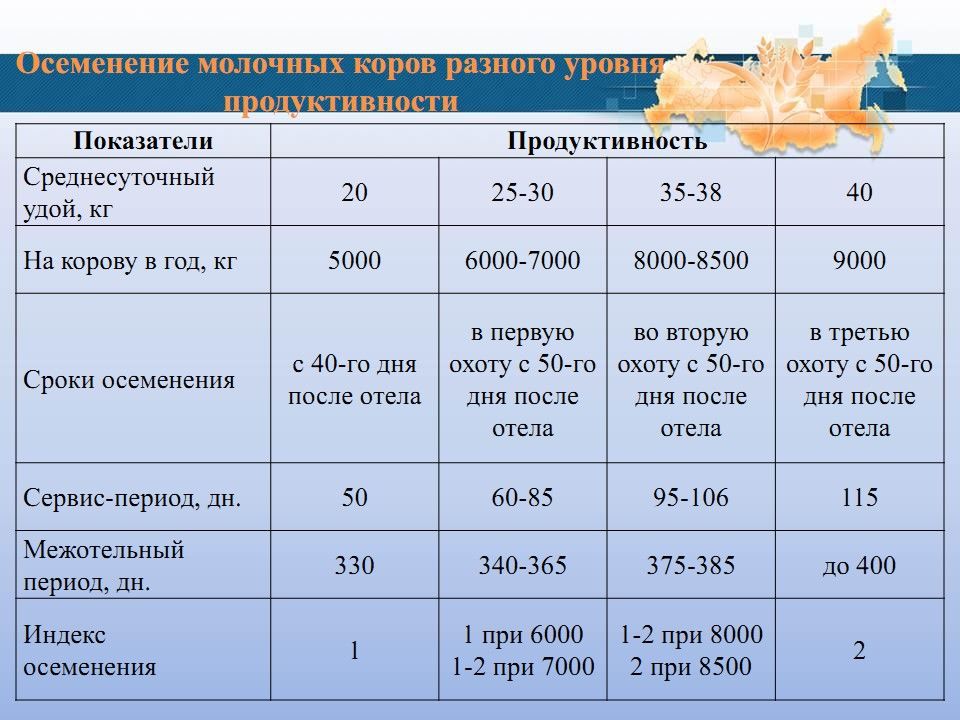 Сутки корове сутки дают. Среднесуточный удой на 1 корову. Удой на фуражную корову формула. Как рассчитать среднесуточный удой коровы. Средний удой молока на 1 корову в день.