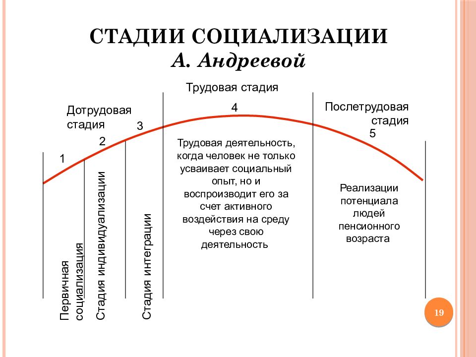 5 стадий общества