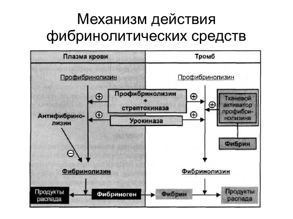 Фибринолитики механизм действия. Механизм действия фибринолитических средств. Активаторы фибринолиза препараты. Механизм действия фибринолитиков схема. Фибринолитики препараты механизм действия.