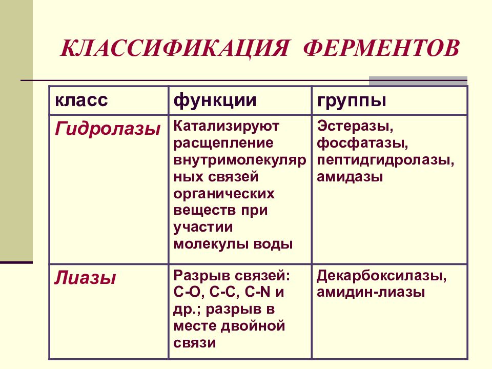 Классификация ферментов. Ферменты классификация ферментов. Классификация белков ферментов. Классификация и функции ферментов.