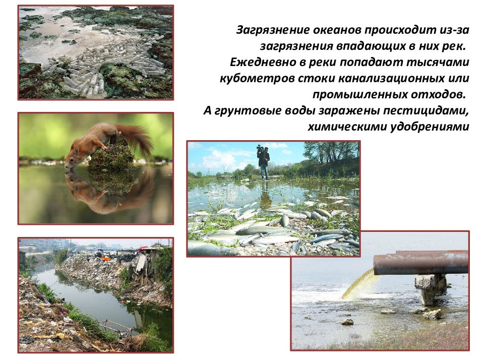 Вода из реки попадает. Заражение воды Сток. Загрязнение океана фото вреда животным.