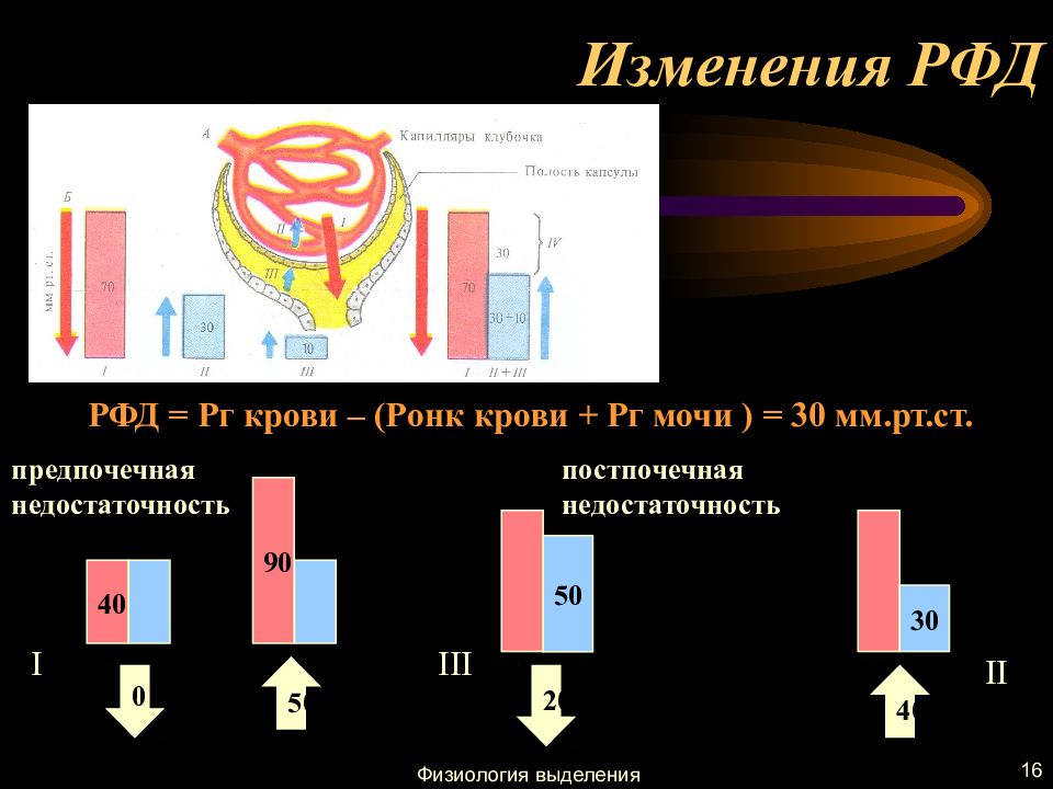 Процесс мочеобразования презентация