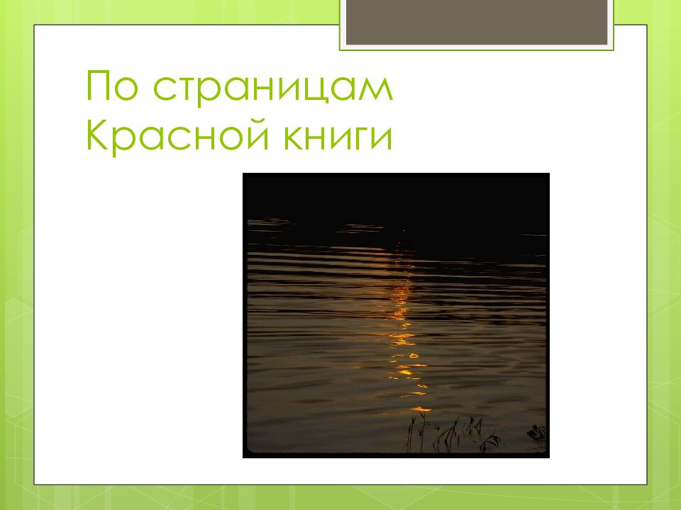 По страницам Красной книги