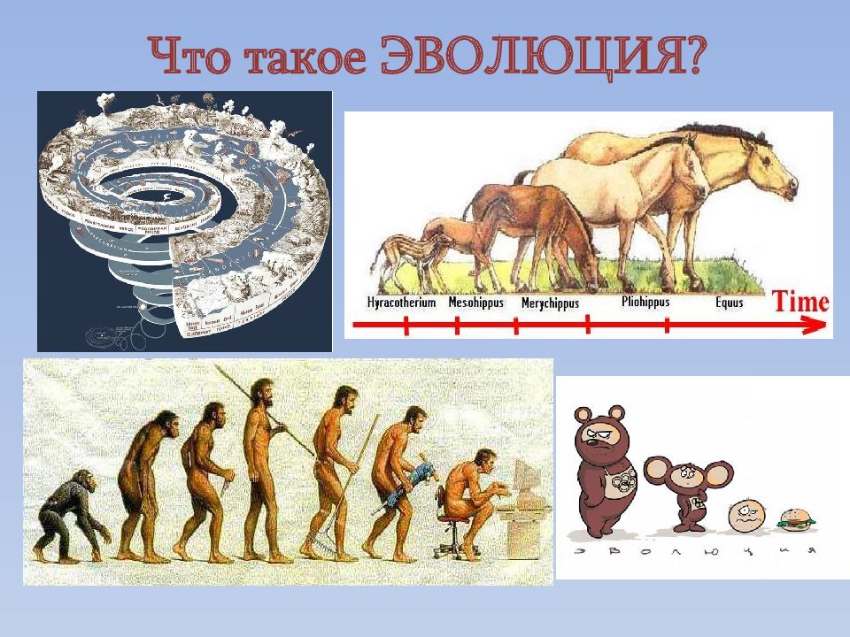 Эволюционно биологическое направление